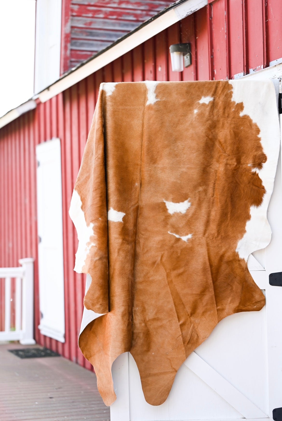 Cow Hide