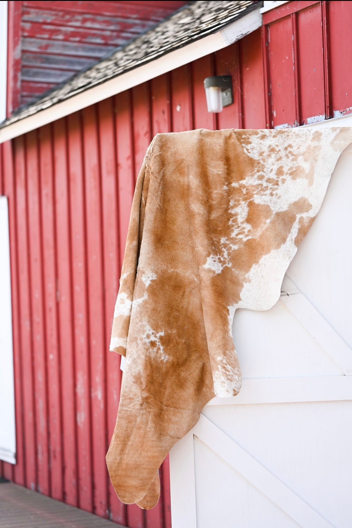 Cow Hide